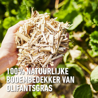 Compo Bodembedekker | Compo | 50 liter (Miscanthus) 2421304017 K170116279 - 7