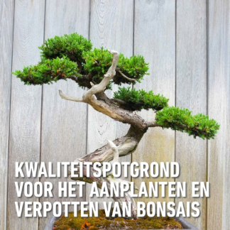 Compo Bonsai potgrond | Compo | Sana | 5 liter (Meststof) 1160222017 K170116047 - 3