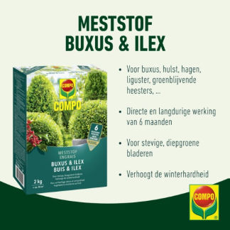 Compo Buxus en ilex mest | Compo | 2 kg (Hersluitbaar) 1572612017 2561302017 K170116277 - 2