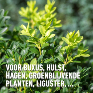Compo Buxus en ilex mest | Compo | 2 kg (Hersluitbaar) 1572612017 2561302017 K170116277 - 3