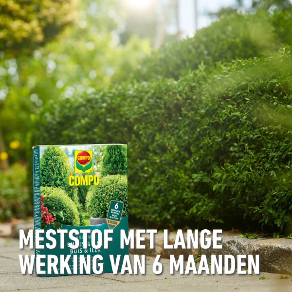 Compo Buxus en ilex mest | Compo | 2 kg (Hersluitbaar) 1572612017 2561302017 K170116277 - 4