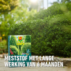 Compo Buxus en ilex mest | Compo | 2 kg (Hersluitbaar) 1572612017 2561302017 K170116277 - 4