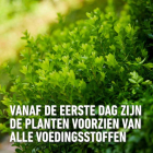 Compo Buxus en ilex mest | Compo | 2 kg (Hersluitbaar) 1572612017 2561302017 K170116277 - 5