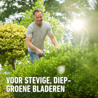 Compo Buxus en ilex mest | Compo | 2 kg (Hersluitbaar) 1572612017 2561302017 K170116277 - 6