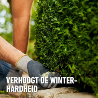 Compo Buxus en ilex mest | Compo | 2 kg (Hersluitbaar) 1572612017 2561302017 K170116277 - 7