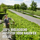 Compo Buxus, hagen en coniferen mest | Compo | 3.5 kg (Organisch, Hersluitbaar) 2037502017 K170116093 - 4