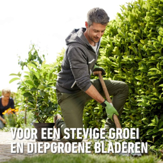 Compo Buxus, hagen en coniferen mest | Compo | 3.5 kg (Organisch, Hersluitbaar) 2037502017 K170116093 - 8