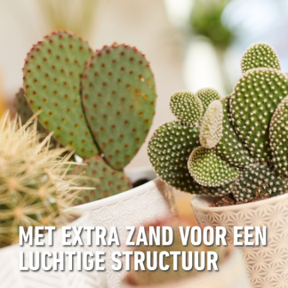 Compo Cactus en vetplanten potgrond | Compo | 5 liter (Meststof) 1122122017 K170115774 - 6