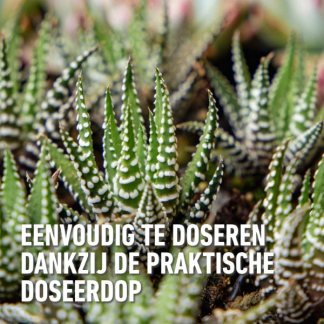 Compo Cactus en vetplanten voeding | Compo | 250 ml (Vloeibaar) 1406422017 K170115784 - 5