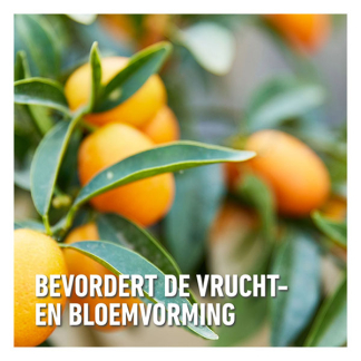 Compo Citrus mest | Compo | 500 ml (Vloeibaar, Natuurlijk) 2224502017 K170115951 - 3