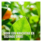 Compo Citrus mest | Compo | 500 ml (Vloeibaar, Natuurlijk) 2224502017 K170115951 - 4