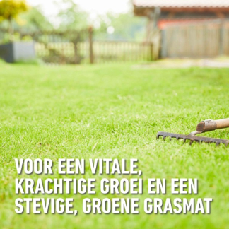 Compo Gazon bodemverbeteraar | Compo | 40 liter (Bio-label, Organisch) 2633304017 K170116045 - 5