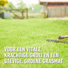 Compo Gazon bodemverbeteraar | Compo | 40 liter (Bio-label, Organisch) 2633304017 K170116045 - 5