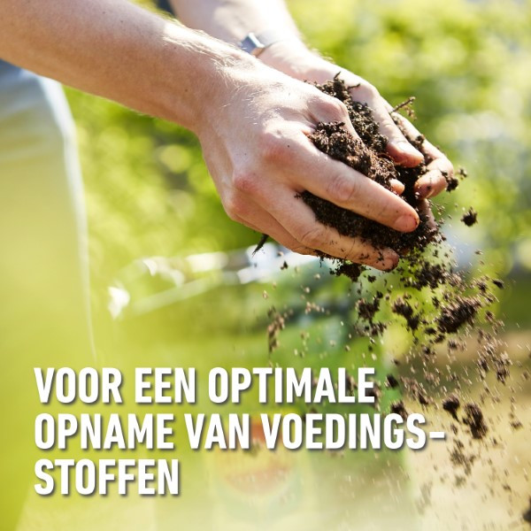 Compo Gazon bodemverbeteraar | Compo | 40 liter (Bio-label, Organisch) 2633304017 K170116045 - 7