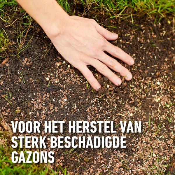 Compo Gazon hersteller | Compo | 20 m² (Graszaad, Grond, Meststof, Kalk, 4 kg) 2160102017 K170116049 - 2