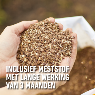 Compo Gazon hersteller | Compo | 6 m² (Graszaad, Grond, Meststof, Kalk, Strooidoos, 1.2 kg) 2179602017 K170116050 - 6