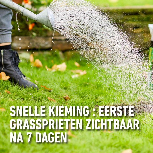 Compo Gazon hersteller | Compo | 6 m² (Graszaad, Grond, Meststof, Kalk, Strooidoos, 1.2 kg) 2179602017 K170116050 - 7