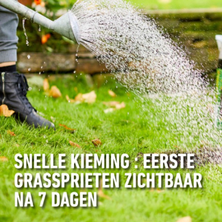 Compo Gazon hersteller | Compo | 6 m² (Graszaad, Grond, Meststof, Kalk, Strooidoos, 1.2 kg) 2179602017 K170116050 - 7