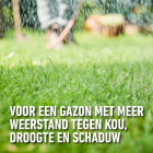 Compo Gazon hersteller | Compo | 6 m² (Graszaad, Grond, Meststof, Kalk, Strooidoos, 1.2 kg) 2179602017 K170116050 - 8