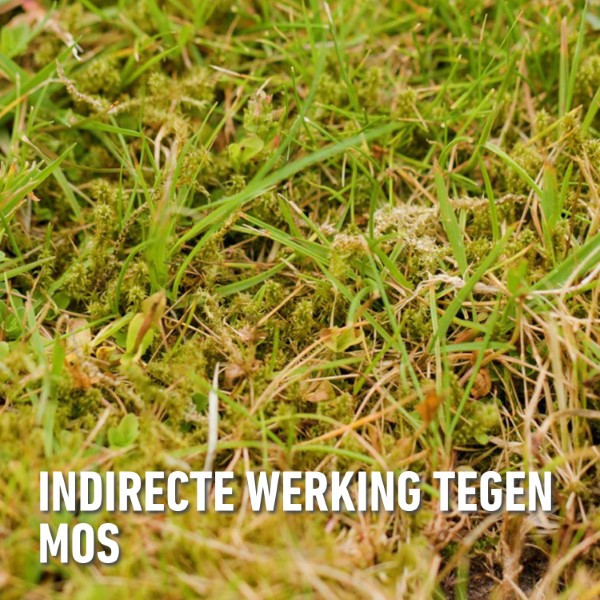 Compo Gazonmest | Compo | 1.5 kg (20 m², 3-in-1, Anti-mos, Organisch) 2148702017 K170116034 - 6