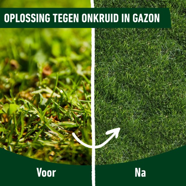 Compo Gazonmest | Compo | 1.5 kg (50 m², 2-in-1, Anti-onkruid) 1330042017 K170116043 - 4