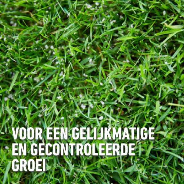 Compo Gazonmest | Compo | 1.5 kg (60 m², Lang werkend) 2373602017 K170116036 - 3