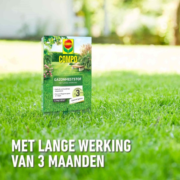 Compo Gazonmest | Compo | 1.5 kg (60 m², Lang werkend) 2373602017 K170116036 - 5
