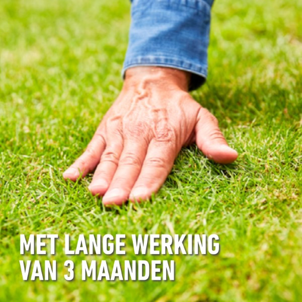 Compo Gazonmest | Compo | 1.5 kg (60 m², Lang werkend) 2373602017 K170116036 - 7