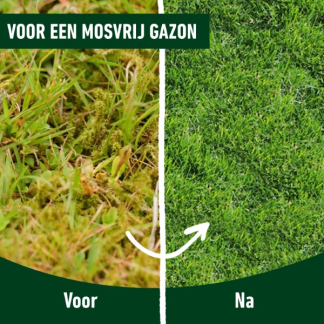 Compo Gazonmest | Compo | 100 m² (2-in-1, Anti-mos, 3 kg) 1342222017 K170115796 - 4