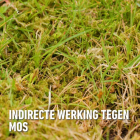 Compo Gazonmest | Compo | 10 kg (125 m², 3-in-1, Anti-mos, Organisch) 2870401017 K170116033 - 4