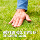 Compo Gazonmest | Compo | 10 kg (200 m², Anti-onkruid, Anti-mos) 2461401017 K170116039 - 4