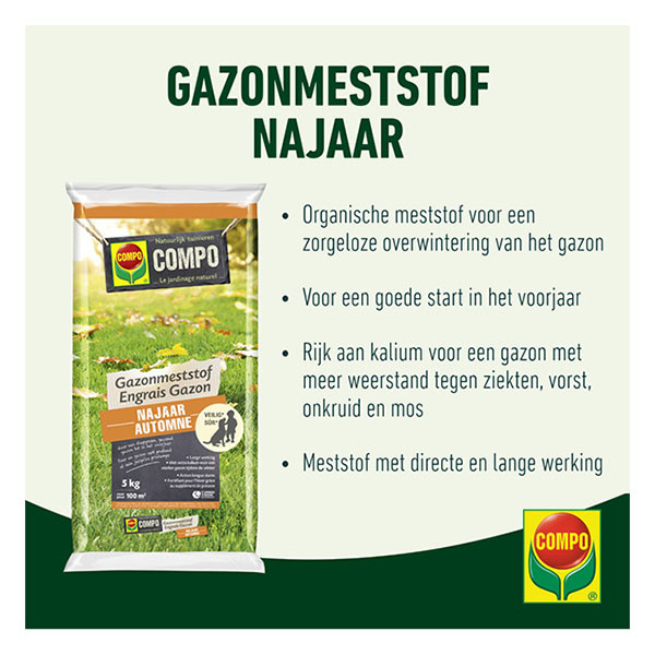 Compo Gazonmest | Compo | 20 kg (400 m², Najaar) 2557904017 K170115946 - 2