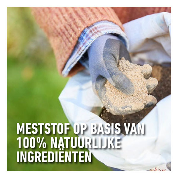 Compo Gazonmest | Compo | 20 kg (400 m², Najaar) 2557904017 K170115946 - 3