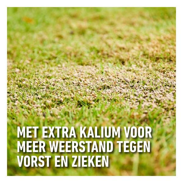 Compo Gazonmest | Compo | 20 kg (400 m², Najaar) 2557904017 K170115946 - 5