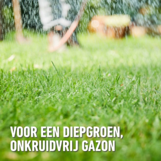 Compo Gazonmest | Compo | 250 m² (2-in-1, Anti-onkruid, 7.5 kg) 2149202017 K170116041 - 2