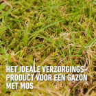 Compo Gazonmest | Compo | 3 kg (100 m², 2-in-1, Anti-mos) 1342222017 K170115796 - 3