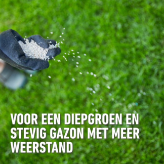 Compo Gazonmest | Compo | 3 kg (120 m², Lang werkend) 2373702017 K170116037 - 3