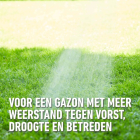 Compo Gazonmest | Compo | 3 kg (40 m², 3-in-1, Anti-mos, Organisch) 2148502017 K170116035 - 5