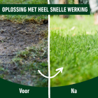 Compo Gazonmest | Compo | 5 kg (130 m², Snel resultaat, Hersluitbaar) 2859602017 K170116099 - 3