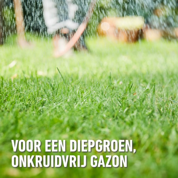 Compo Gazonmest | Compo | 7.5 kg (250 m², 2-in-1, Anti-onkruid) 2149202017 K170116041 - 2