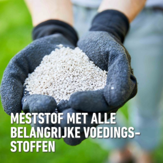 Compo Gazonmest | Compo | 7.5 kg (300 m², Lang werkend) 2374701017 K170116038 - 7