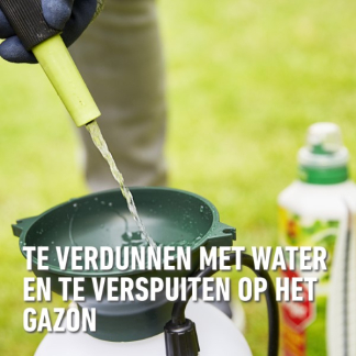 Compo Gazonvoeding | Compo | 2.5 liter (250 m²) 2549812017 K170116072 - 4