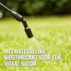 Compo Gazonvoeding | Compo | 2.5 liter (250 m²) 2549812017 K170116072 - 6