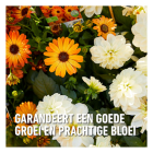 Compo Geraniums en bloeiende planten mest | Compo | 2.5 liter (25 m², Bio-label) 1438232017 K170115955 - 6