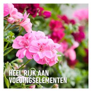 Compo Geraniums en bloeiende planten mest | Compo | 5 liter (50 m², Bio-label) 1432422017 K170115956 - 4