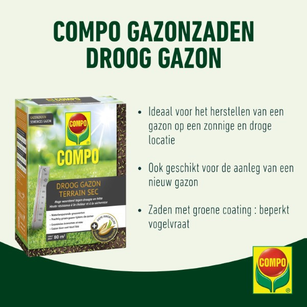Compo Graszaad droogte | Compo | 80 m² (Strooidoos, 2 kg) 2387802017 K170116057 - 3