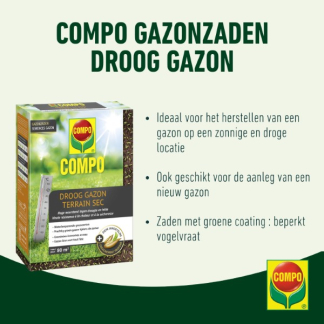 Compo Graszaad droogte | Compo | 80 m² (Strooidoos, 2 kg) 2387802017 K170116057 - 3