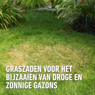 Compo Graszaad droogte | Compo | 80 m² (Strooidoos, 2 kg) 2387802017 K170116057 - 4