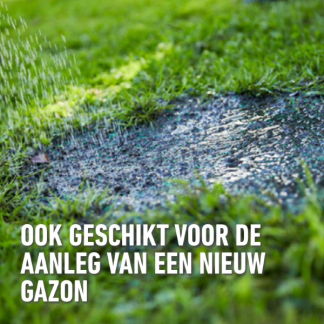 Compo Graszaad droogte | Compo | 80 m² (Strooidoos, 2 kg) 2387802017 K170116057 - 5