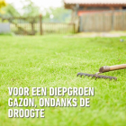 Compo Graszaad droogte | Compo | 80 m² (Strooidoos, 2 kg) 2387802017 K170116057 - 6